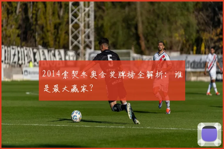 2014索契冬奥会奖牌榜全解析：谁是最大赢家？