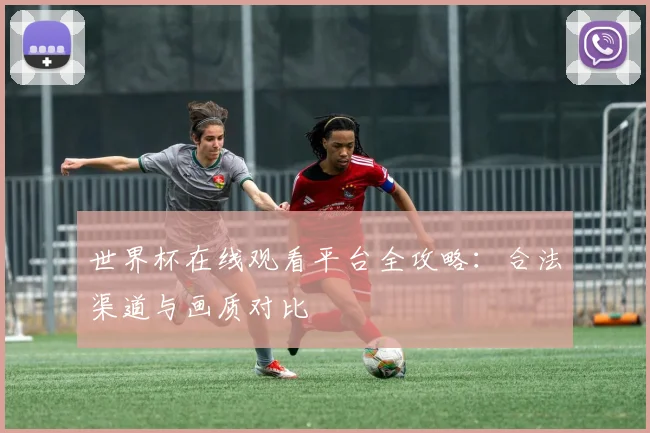 世界杯在线观看平台全攻略：合法渠道与画质对比