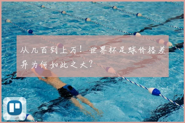 从几百到上万！世界杯足球价格差异为何如此之大？