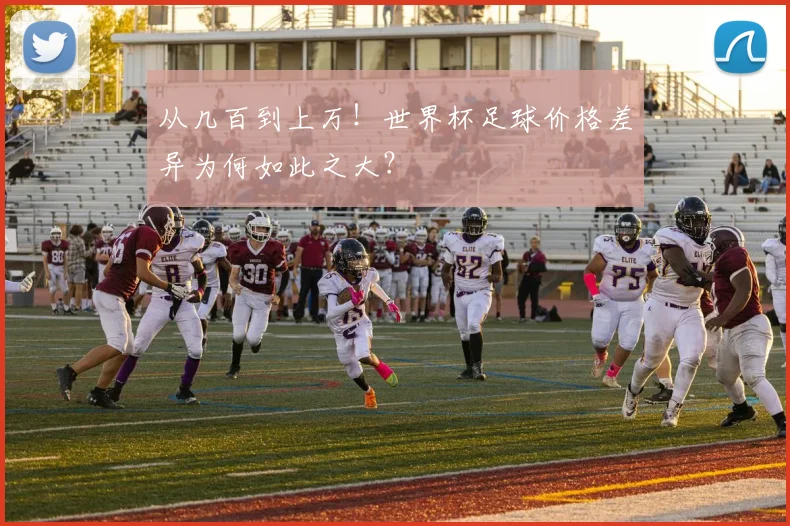 从几百到上万！世界杯足球价格差异为何如此之大？